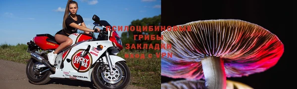 гидра Нижний Тагил