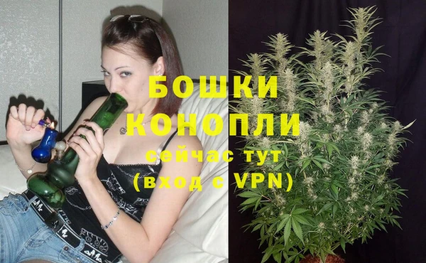 ECSTASY Волоколамск